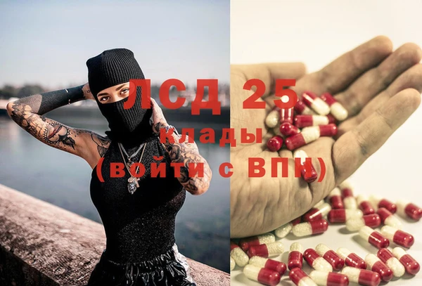 ПСИЛОЦИБИНОВЫЕ ГРИБЫ Абдулино