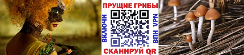 hydra как зайти Сорск Псилоцибиновые грибы Magic Shrooms